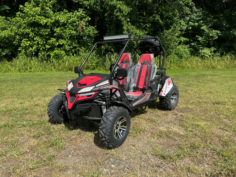 Trailmaster Cheetah 200X Adult Go-Kart Buggy