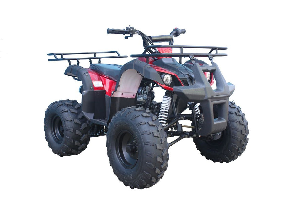 Tao Tao T-Force 125 Children's ATV, 4-Stroke 125cc