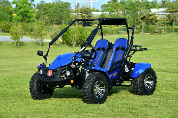 Venture 200 EFI Adult Go Kart Buggy