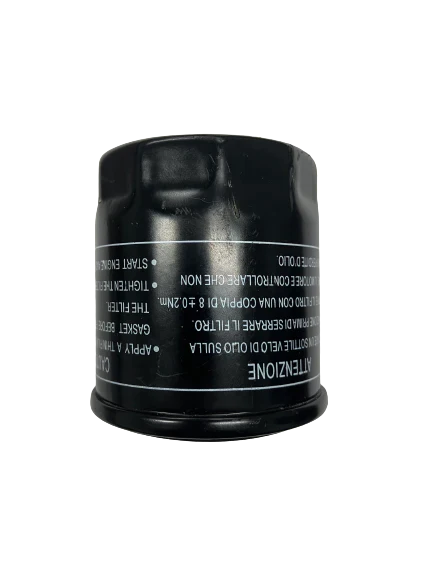 Oil Filter for Rover 300 Golf Cart