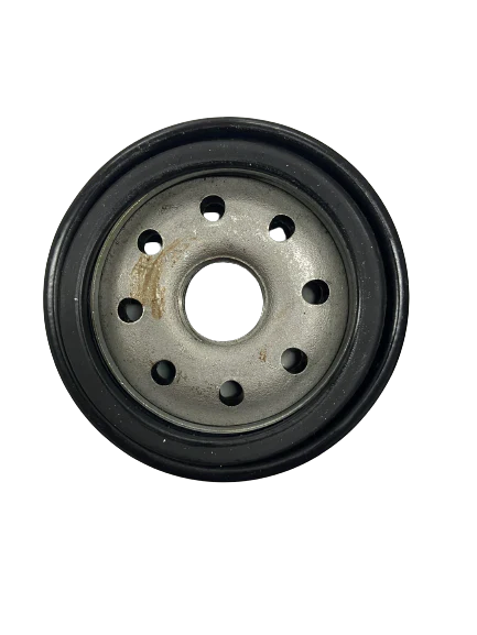 Oil Filter for Rover 300 Golf Cart