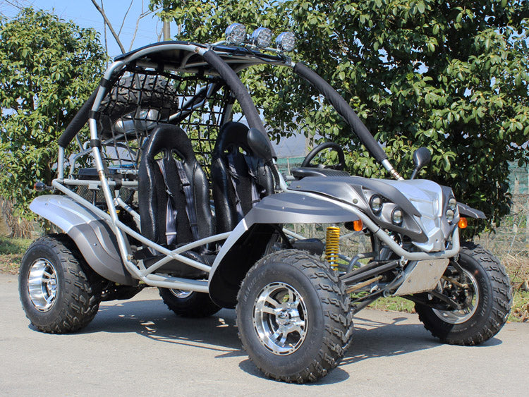 Dongfang Raptor Adult Go-Kart Buggy DF200GKR, Big Bore 200 PowerStroke