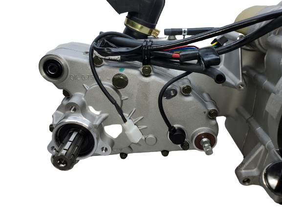 BMS King Cobra 150 GY6 Engine with Internal Reverse 150cc, 175cc