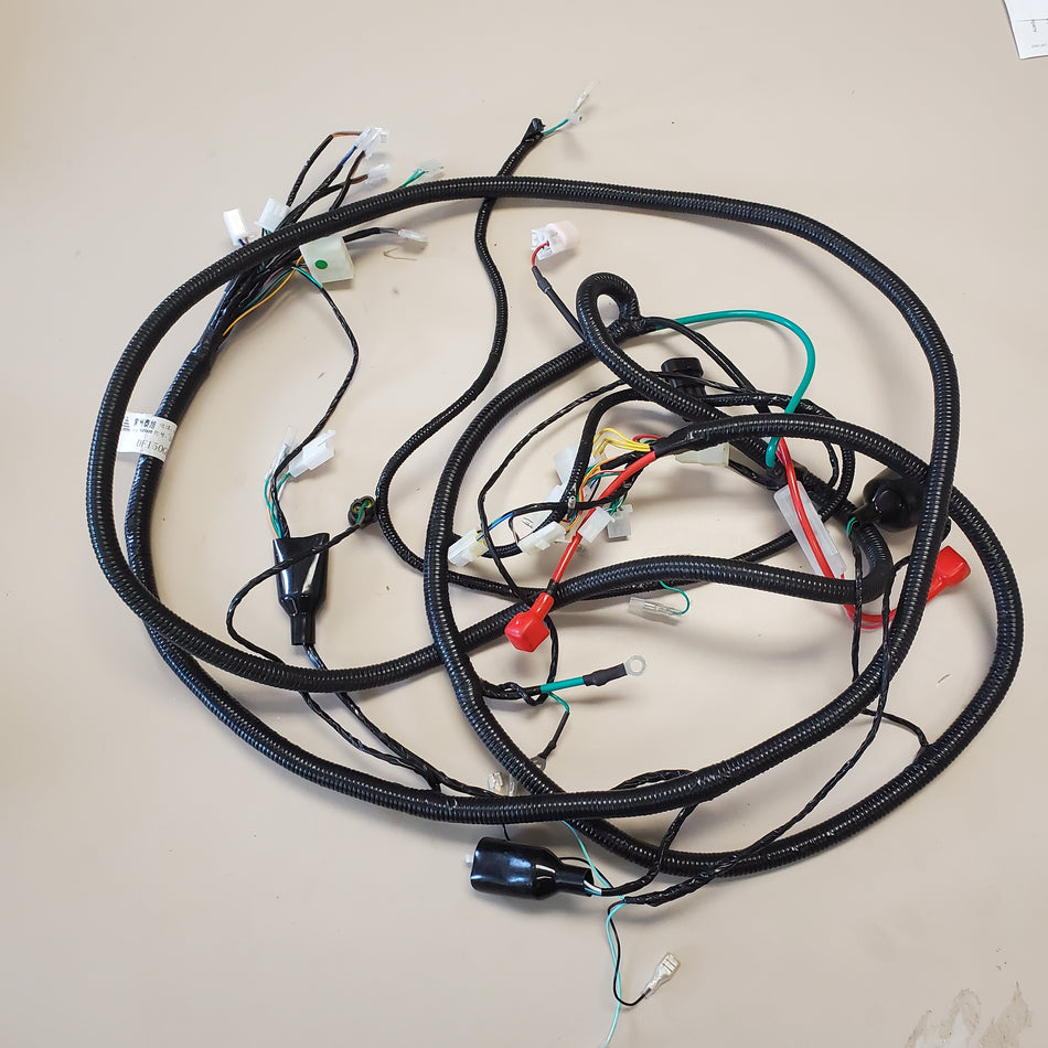 Dongfang 170cc GKA Go-Kart Wiring Harness