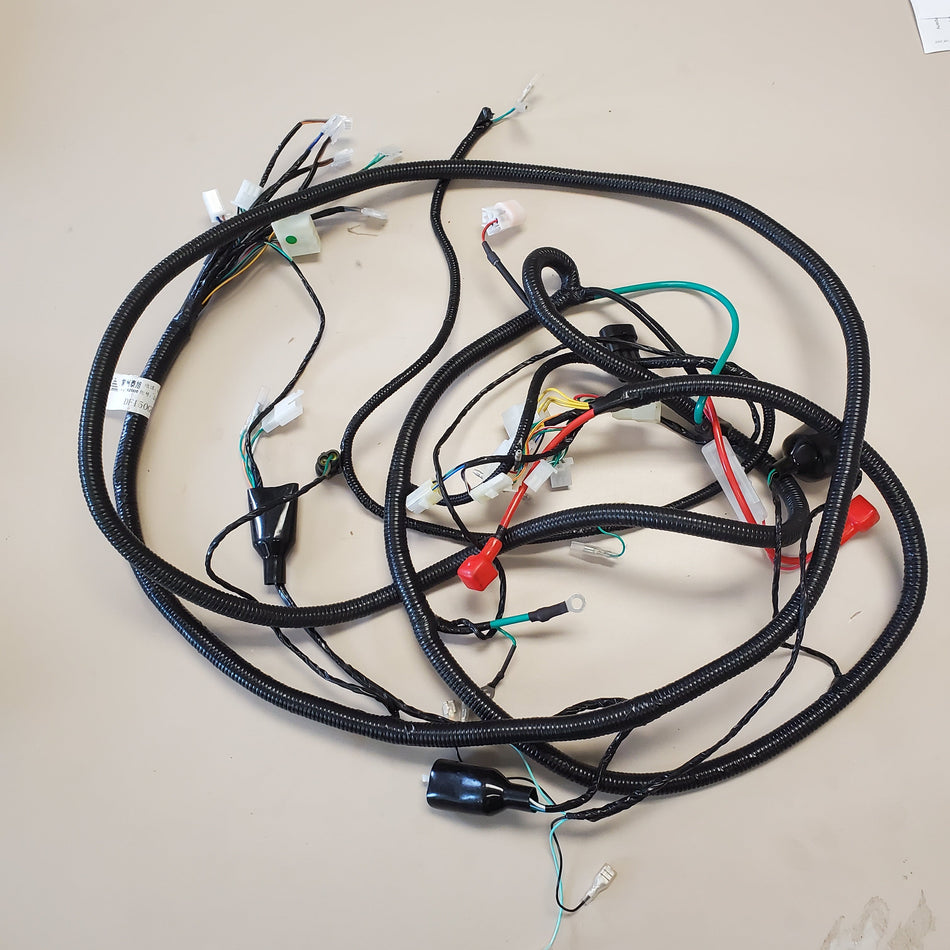 Dongfang GHG 170cc Go-Kart Wiring Harness