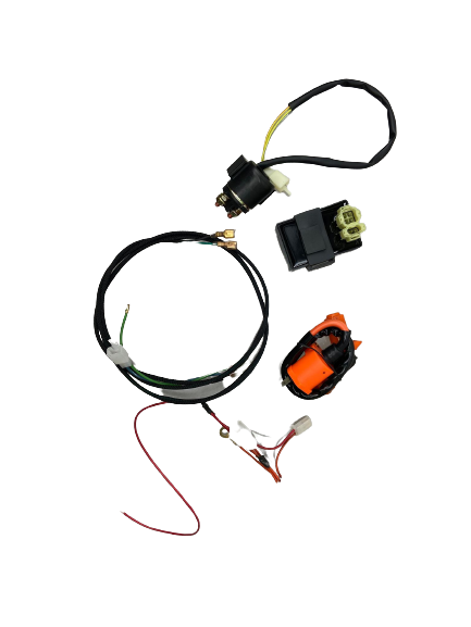BDX Performance Honda Ruckus 50cc to 150cc Conversion Harness Kit