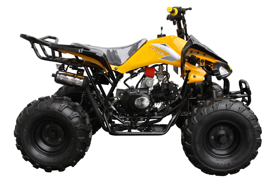 Raptor 125 Children's ATV-8", 4-Stroke 125cc
