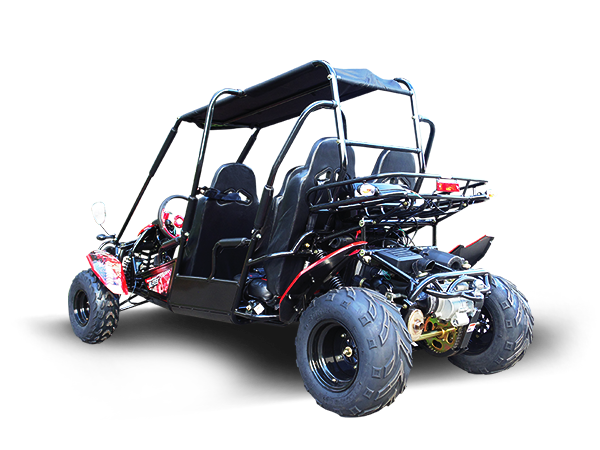 Trailmaster Blazer4 200X Adult Go-Kart Buggy