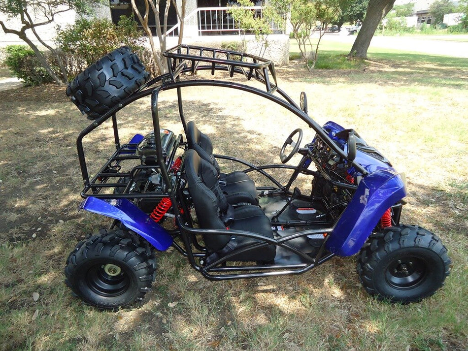 TER-R 125 Children's Go-Kart Buggy, 125cc 4 Stroke