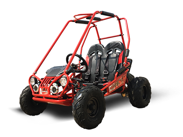 Kids mini buggy on sale