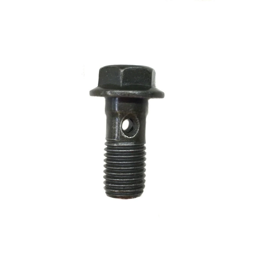 Banjo Bolt M10 x 22mm