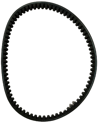 Fangpower 250 Belt