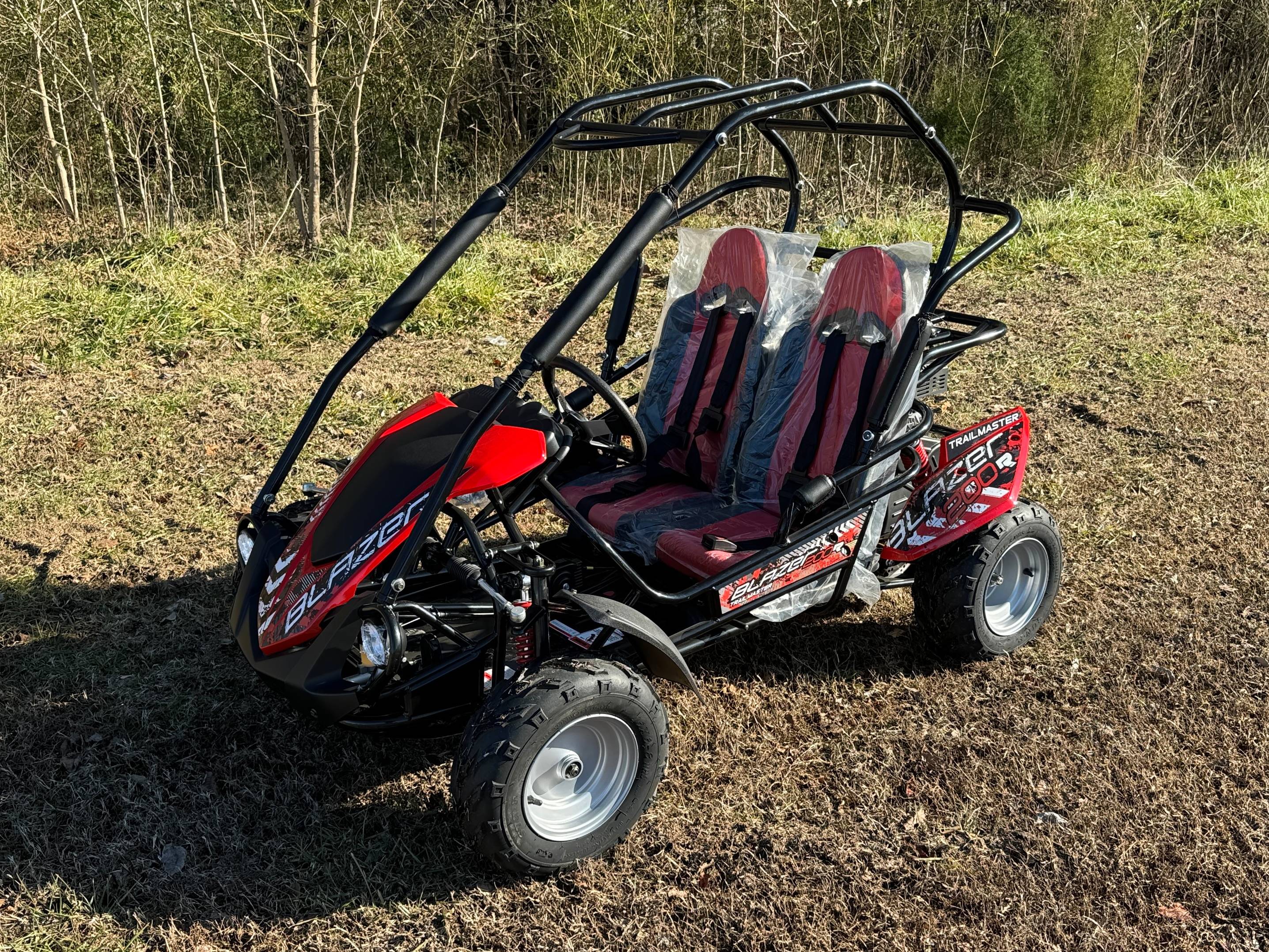 Trailmaster buggy cheap