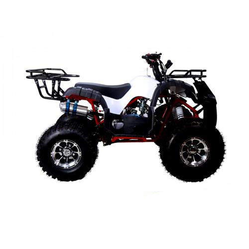 Tao Tao New T-Force 125 Children's ATV, 4-Stroke 125cc – BDX