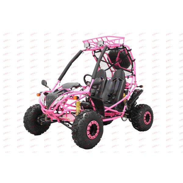 Dongfang Captain Children's Go-Kart Buggy 200GSA, 4-Stroke 196cc
