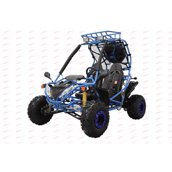 Dongfang Captain Children's Go-Kart Buggy 200GSA, 4-Stroke 196cc