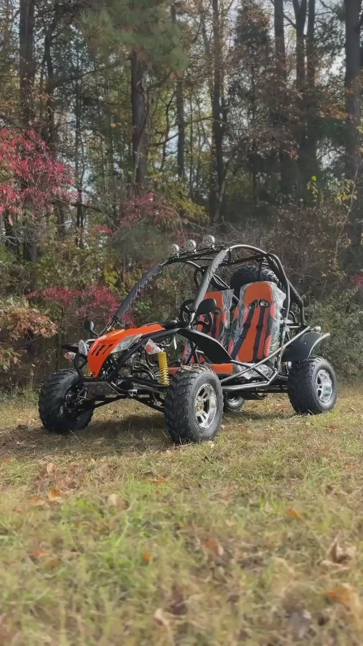 Dongfang Jaguar Adult Go-Kart Buggy DF200GKA, Big Bore 200