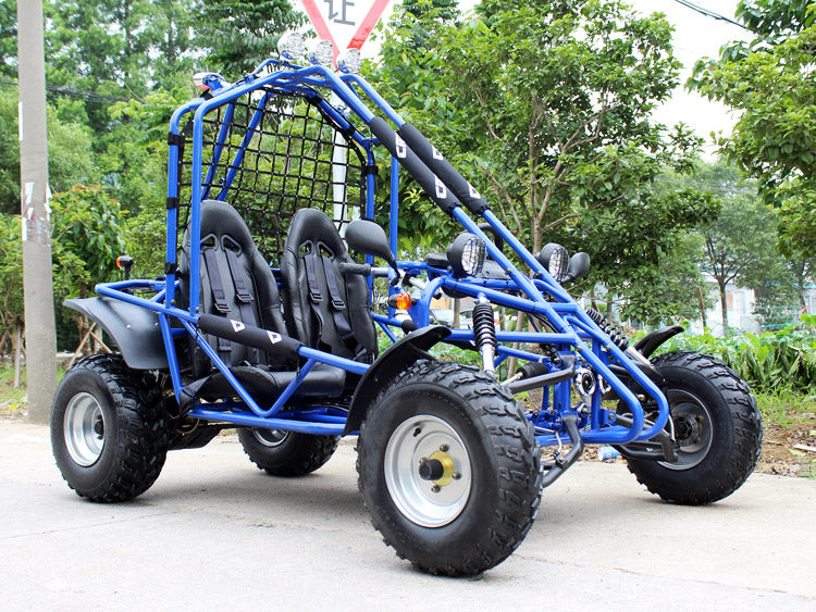 DongFang Spider 200 Adult Go-Kart Buggy