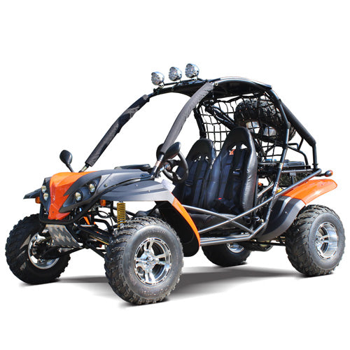 Dongfang Raptor Adult Go-Kart Buggy DF200GKR, Big Bore 200 PowerStroke