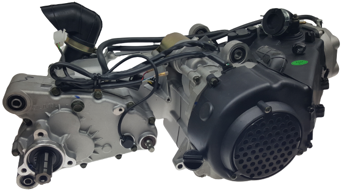 Trailmaster Blazer Go-Kart GY6 Engine, 150XRX, 150XRS, 150TBM 150cc, 175cc, 232cc
