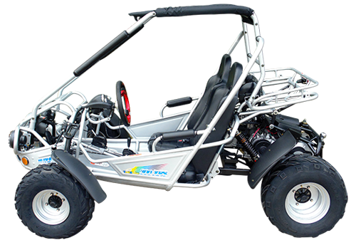 Trailmaster 300 XRS EFI Adult Go-Kart Buggy