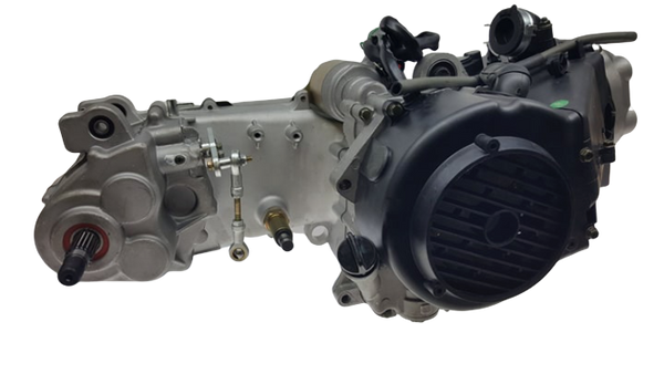 Dazon Rader Go Kart Internal Reverse Engine GY6 150cc 175cc 232cc BDX Performance
