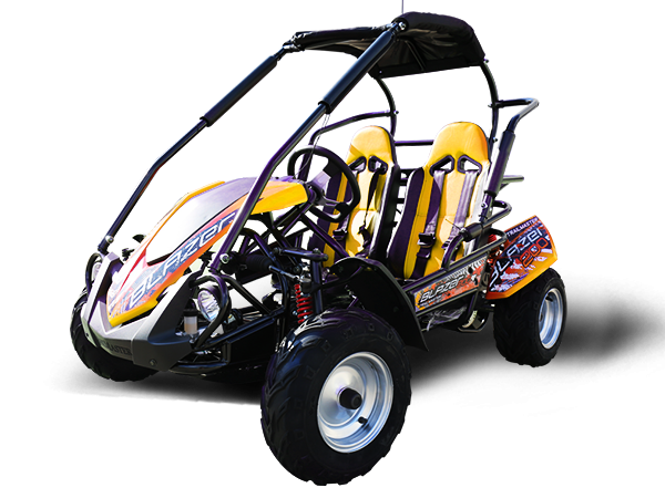 Trailmaster Blazer 200R Youth Go-Kart Buggy