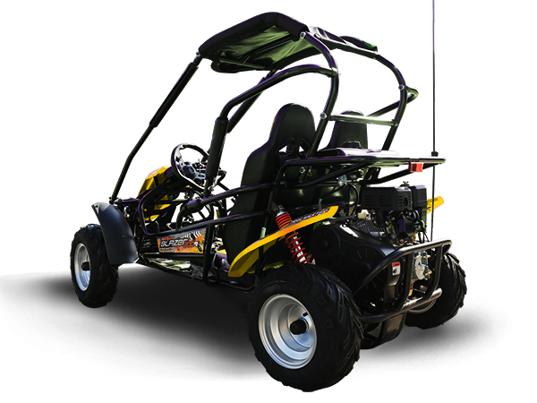 Trailmaster Blazer 200R Adult Go-Kart Buggy
