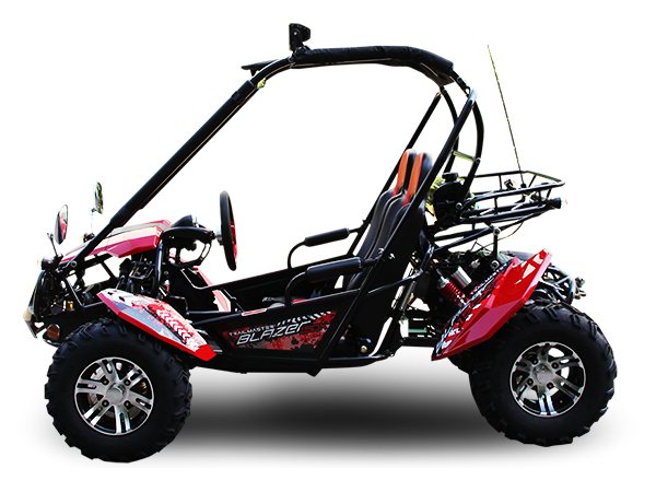 Trailmaster Blazer 200X Adult Go-Kart Buggy