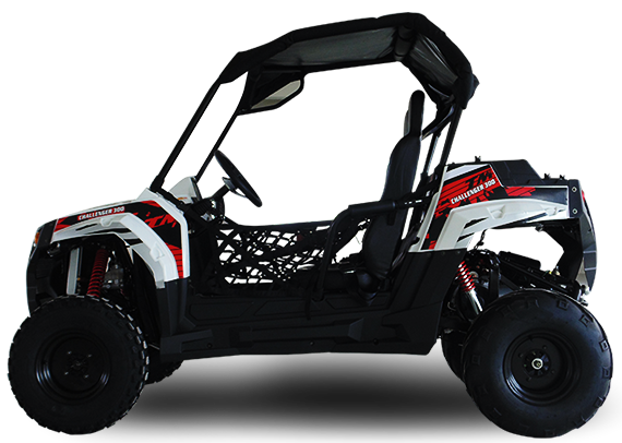 Curated visual reference: Picture Idea: Trailmaster Challenger 300E Efi Utv Side By Side
