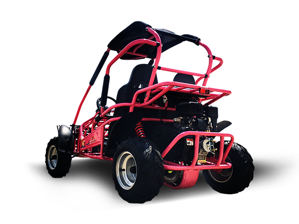 Trailmaster Mid Xrx R Trailmaster Mid XRX/R+ Youth Go-Kart Buggy – BDX Performance