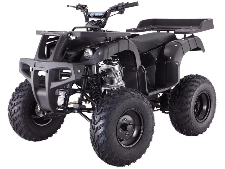 Tao Tao Rhino 250 Adult Quad ATV