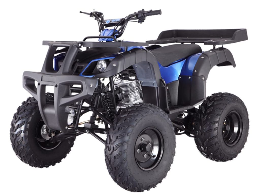 Tao Tao Rhino 250 Adult Quad ATV – BDX Performance