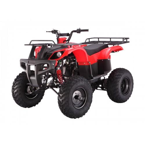 Tao Tao Bull 150 Adult Quad ATV