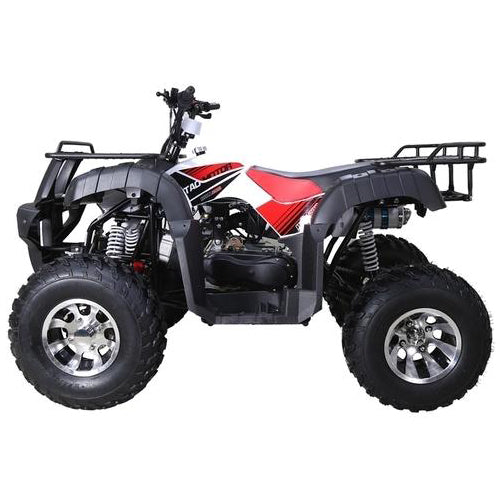 Tao Tao Bull 200S Adult Quad ATV