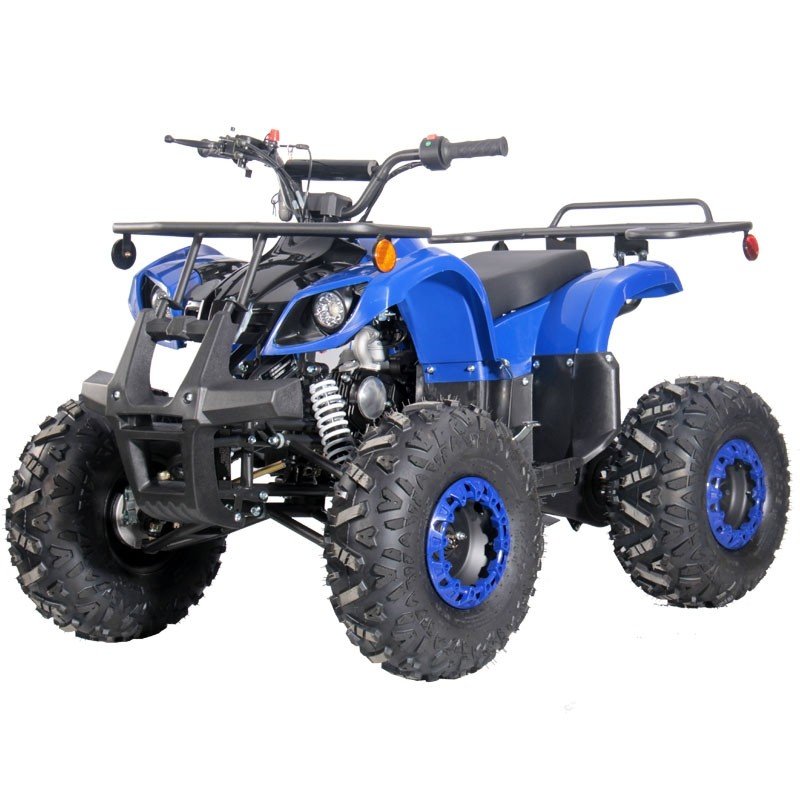 Dongfang Grizzly 125 Utility Children's ATV-8", 4-Stroke 110cc