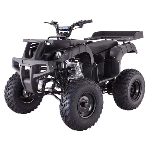 Tao Tao Rhino 250 Adult Quad ATV