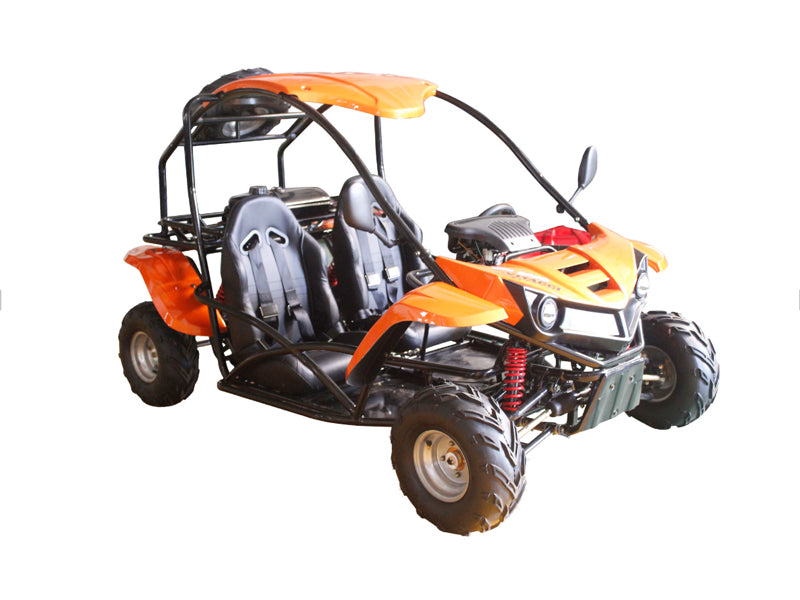 T-Rex 125 Children's Go-Kart Buggy, 125cc 4 Stroke