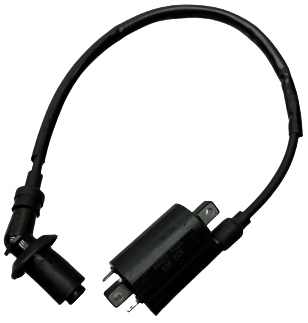 Fangpower 250 Ignition Coil